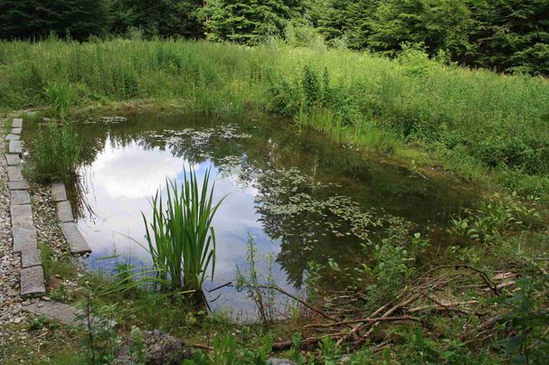 Gleißental-Weiher Gleißental-Weiher